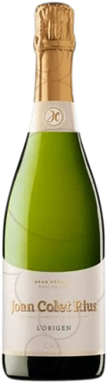 L'Origen - Joan Colet Rius - 2021